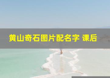 黄山奇石图片配名字 课后